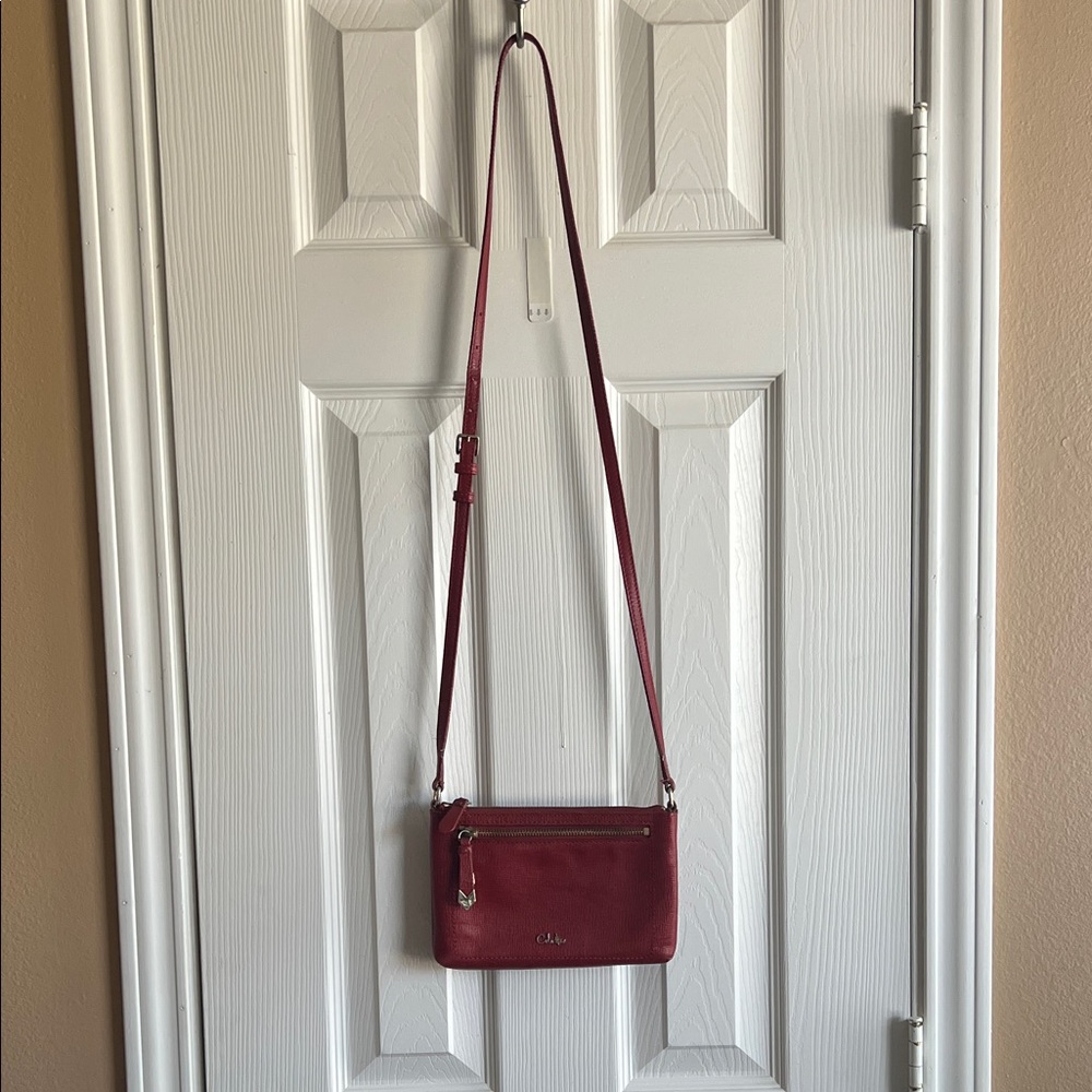 Elegant Red Leather Crossbody Bag